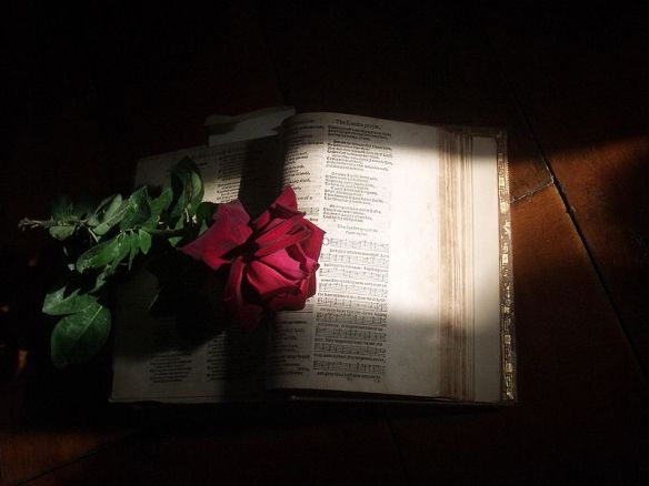 800px-Psalter-with-rose